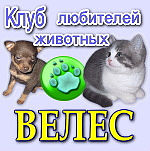 Родословные для кошек и собак по Беларуси