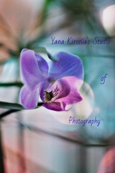 Недорогая фотосъемка от Yana Kireeva's Studio of Photography