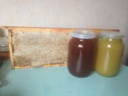 Мед натуральный,  прополис,  перга
